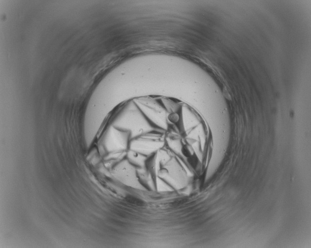 X0000060740261200512081925