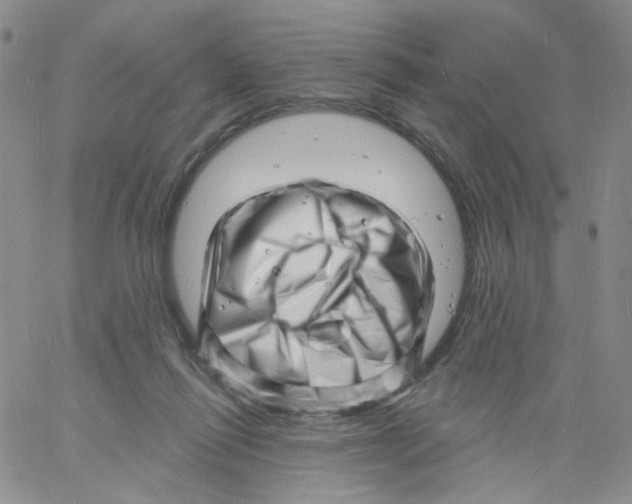 X0000060740262200512081925