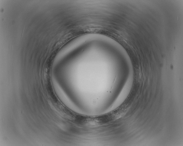 X0000060740263200512081925