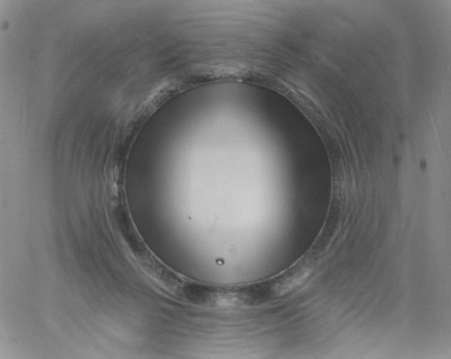 X0000060740264200512081925