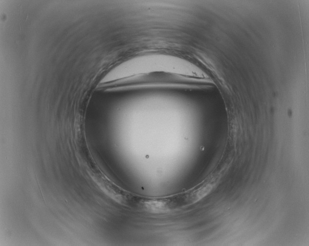 X0000060740265200512081925