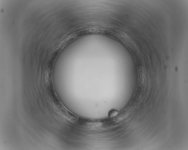 X0000060740266200512081925