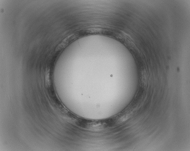 X0000060740267200512081925