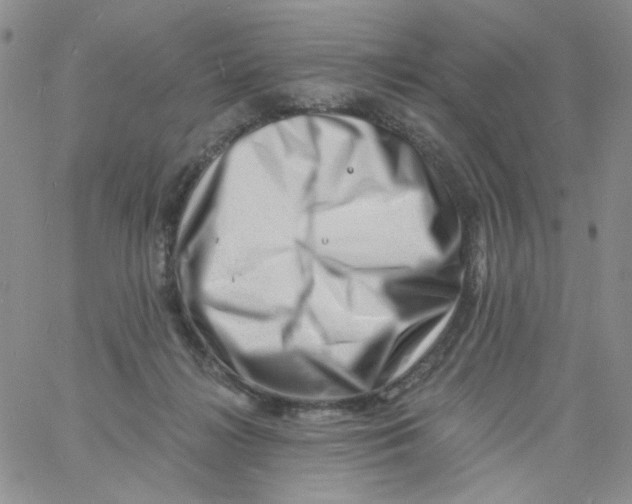 X0000060740268200512081925