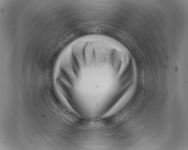 X0000060740270200512081925