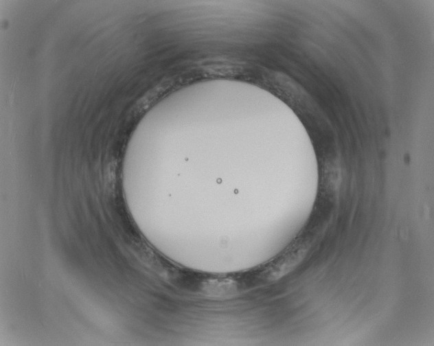 X0000060740271200512081925