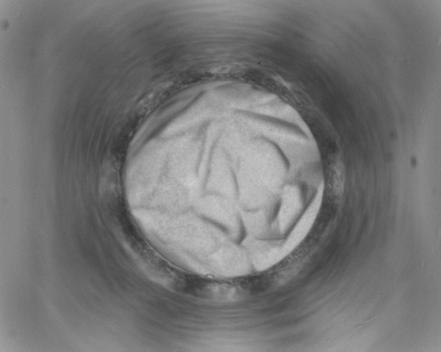 X0000060740272200512081925