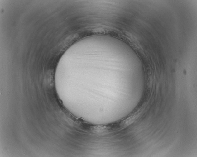 X0000060740273200512081925