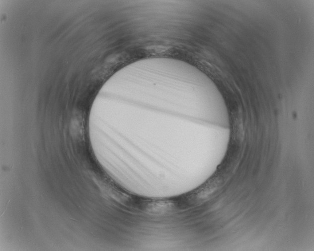 X0000060740274200512081925