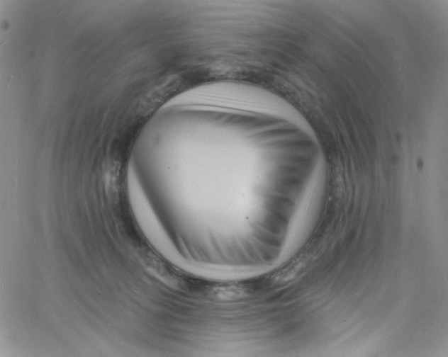 X0000060740275200512081925