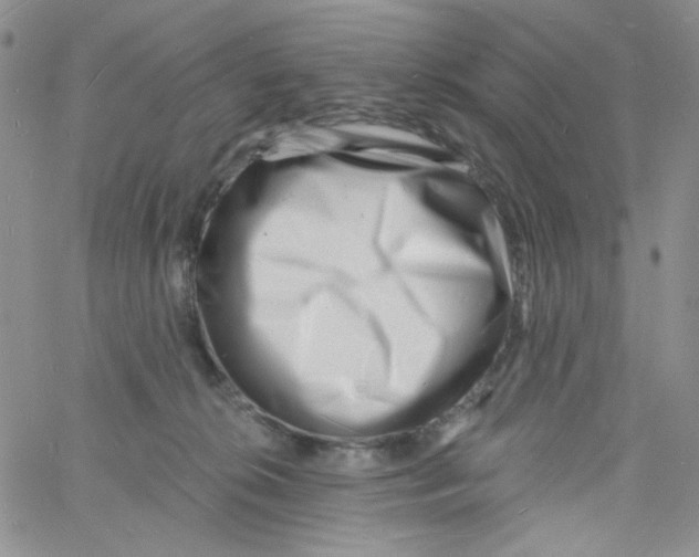 X0000060740276200512081925