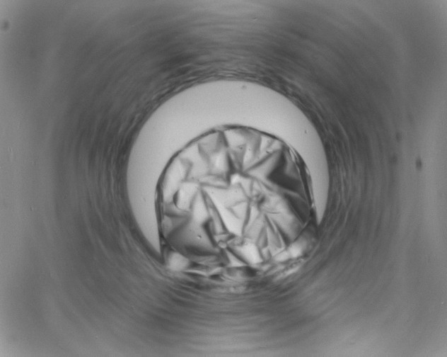 X0000060740278200512081925