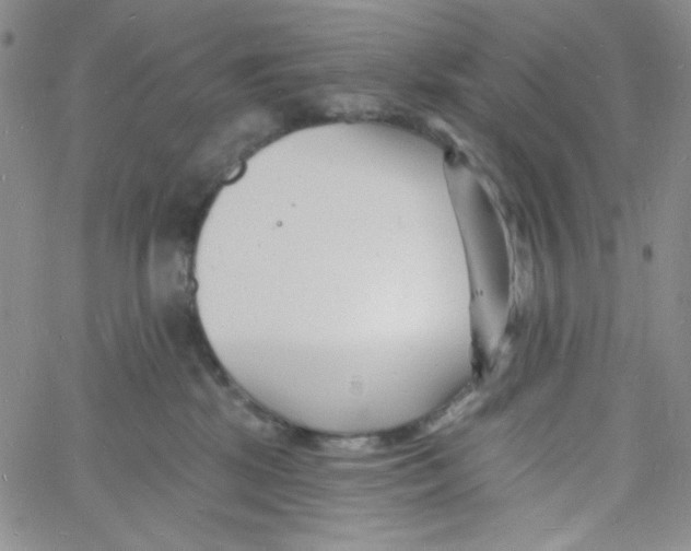 X0000060740281200512081925