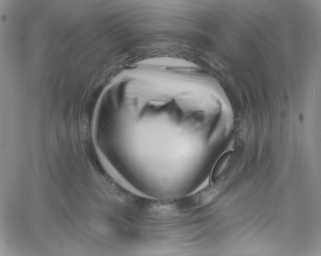 X0000060740283200512081925