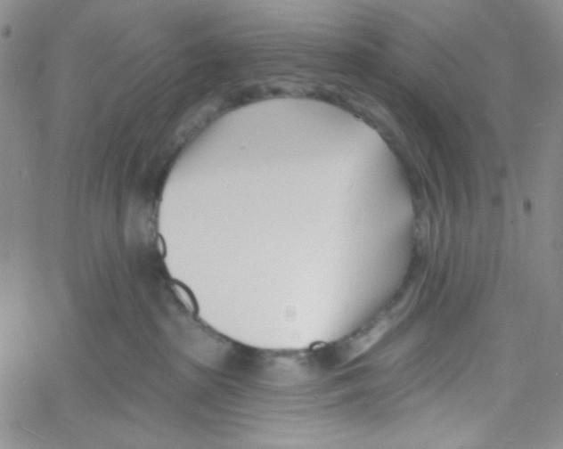 X0000060740285200512081925