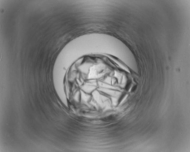 X0000060740288200512081925