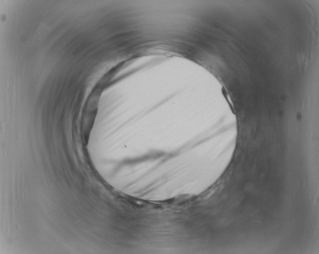 X0000060740289200512081925