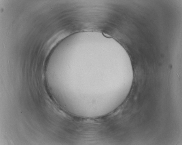 X0000060740290200512081925