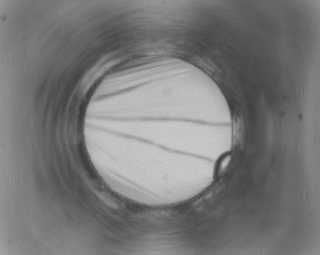 X0000060740291200512081925