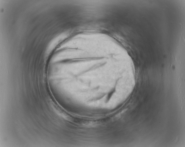 X0000060740293200512081925