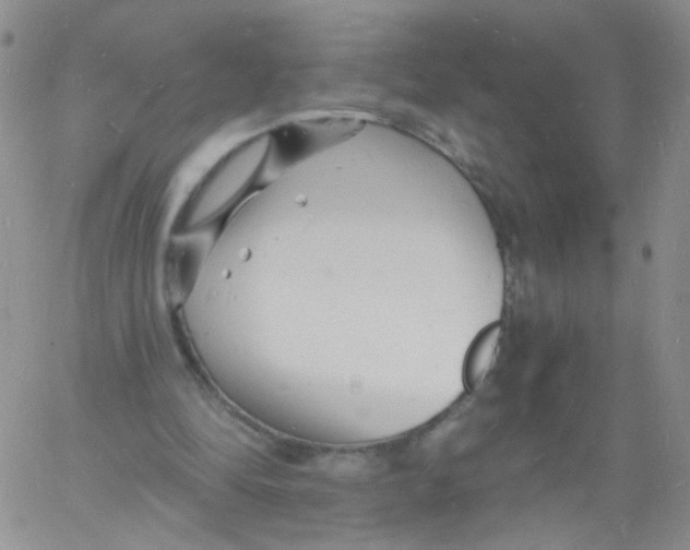 X0000060740294200512081925