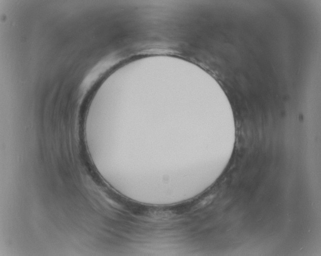 X0000060740296200512081925