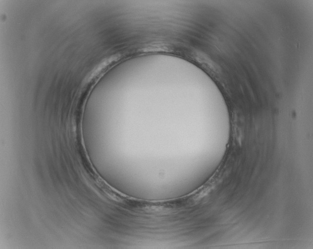 X0000060740298200512081925