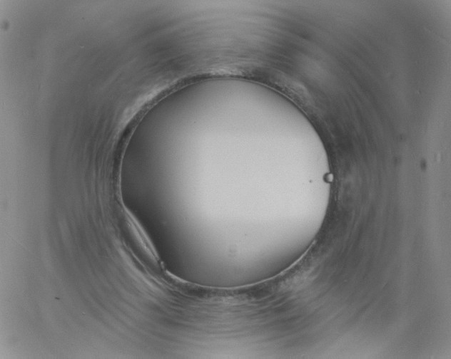 X0000060740299200512081924