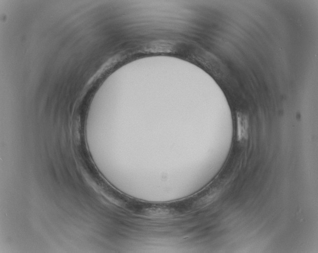 X0000060740300200512081924