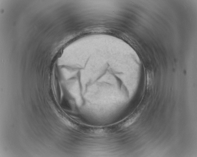 X0000060740301200512081924