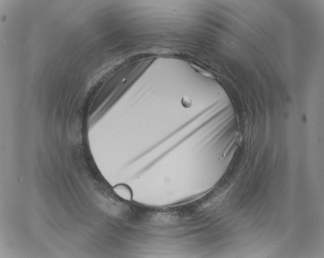 X0000060740303200512081924