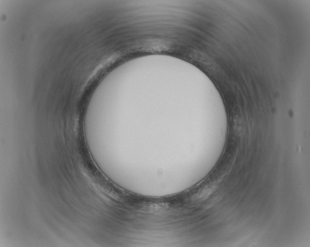 X0000060740304200512081924