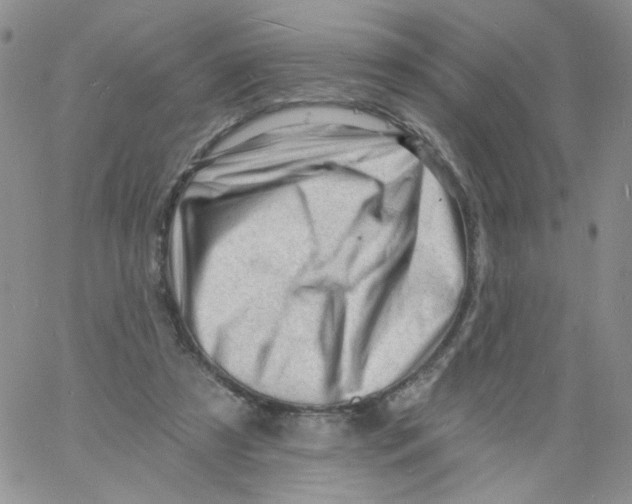 X0000060740305200512081924