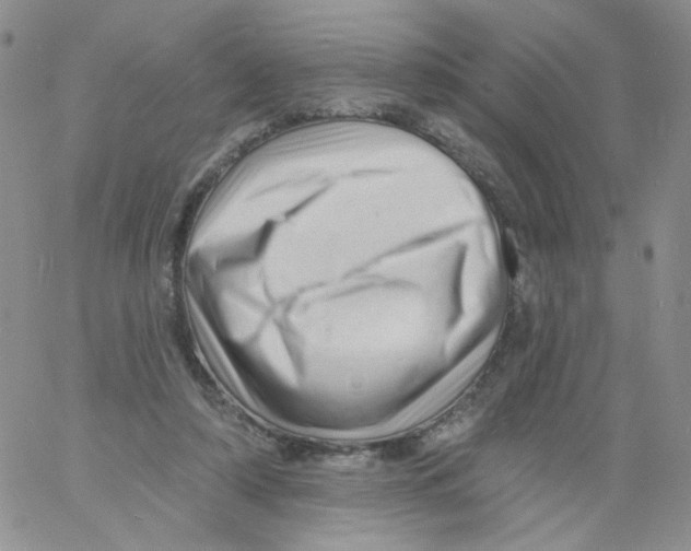 X0000060740306200512081924