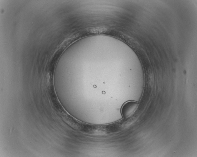 X0000060740308200512081924