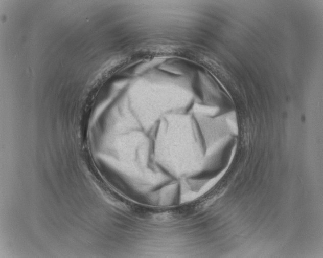 X0000060740309200512081924