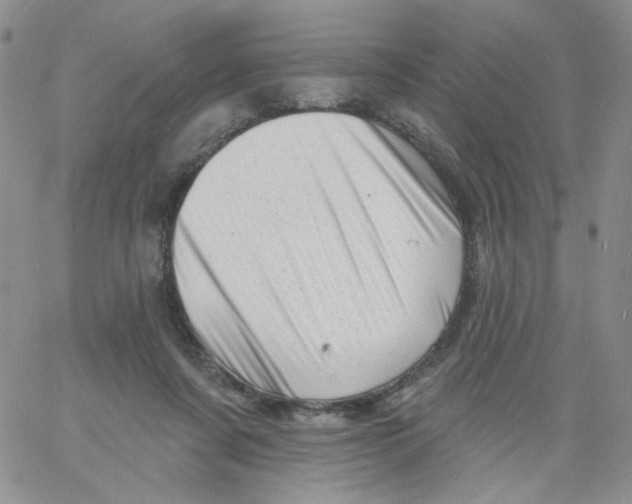 X0000060740311200512081924