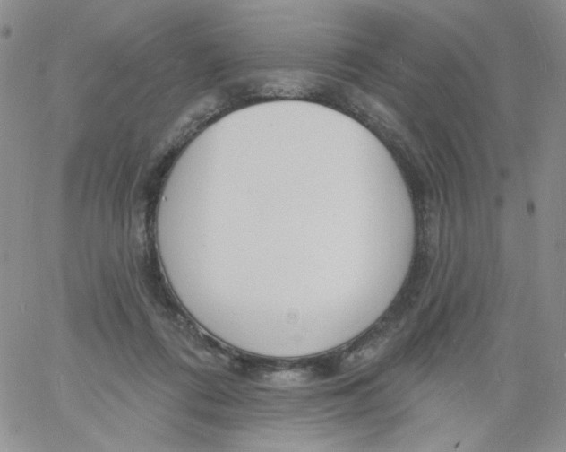 X0000060740312200512081924