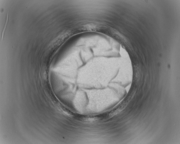 X0000060740313200512081924