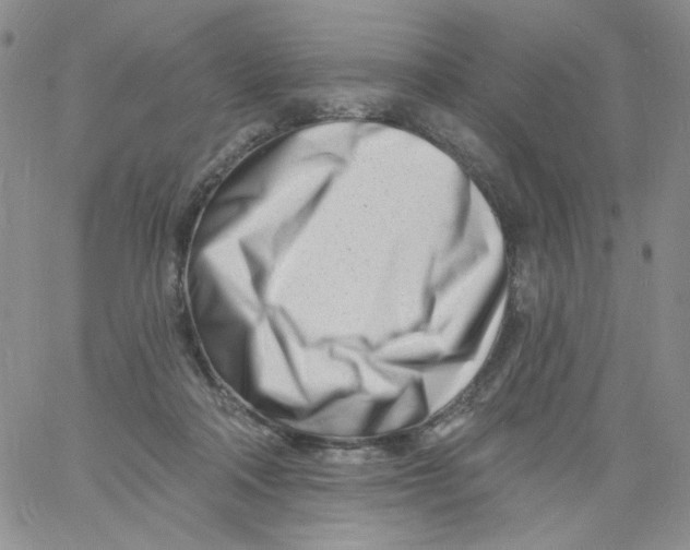 X0000060740314200512081924