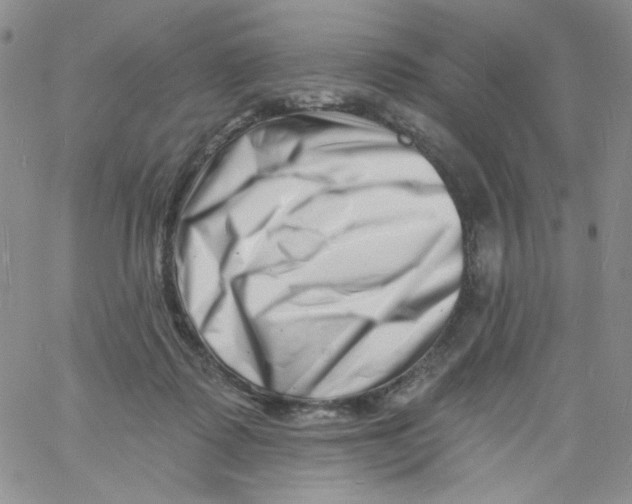 X0000060740315200512081924