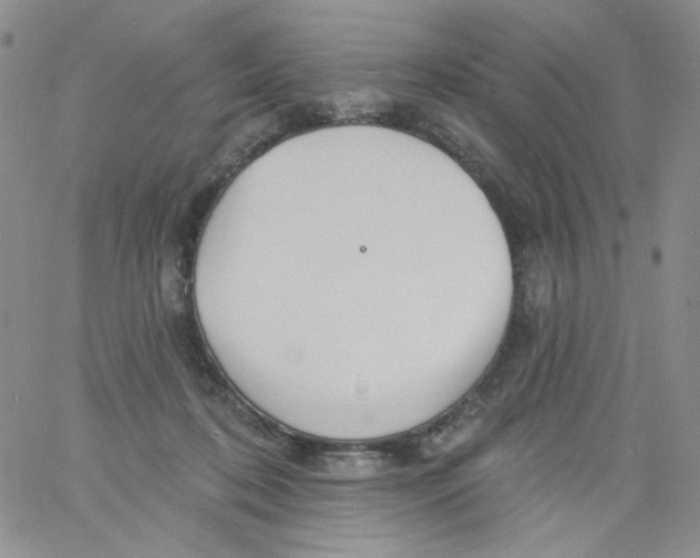 X0000060740316200512081924