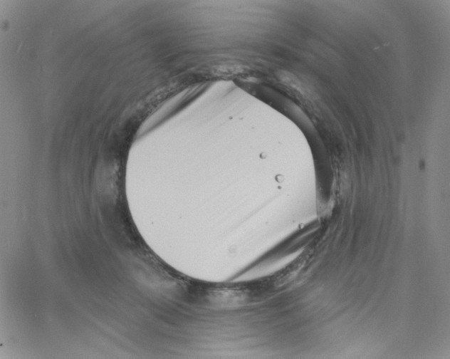 X0000060740319200512081924