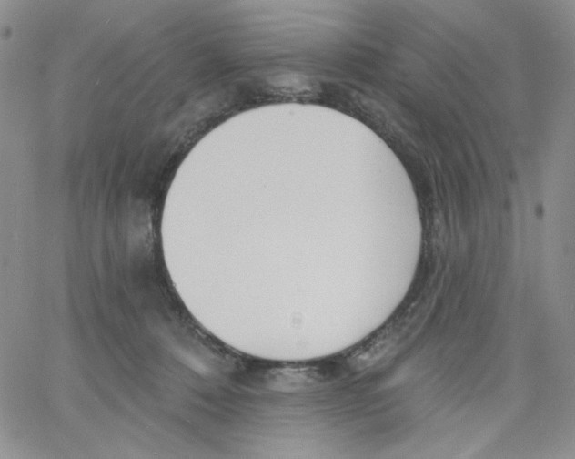 X0000060740320200512081924