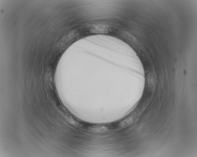 X0000060740322200512081924