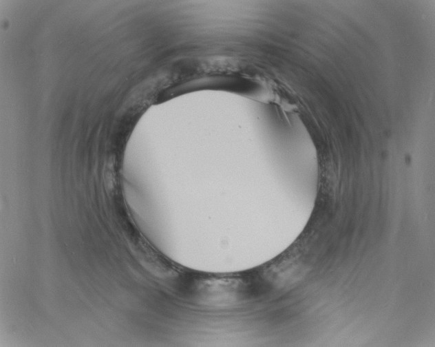 X0000060740323200512081924