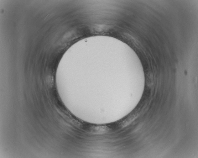 X0000060740324200512081924