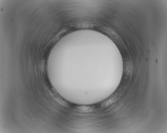 X0000060740326200512081924