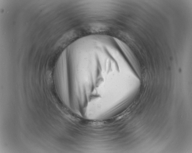 X0000060740327200512081924