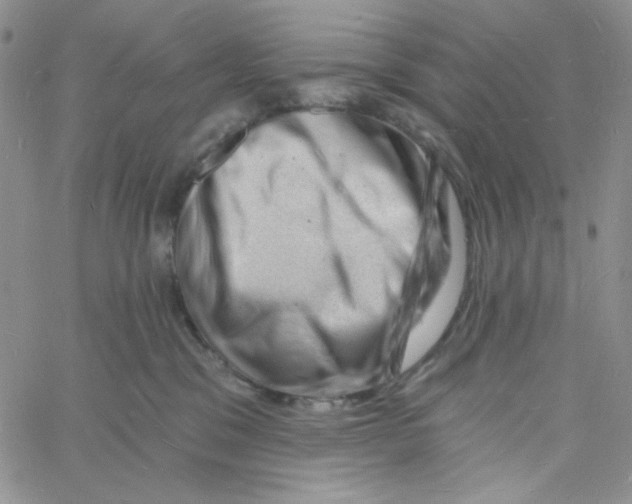 X0000060740329200512081924